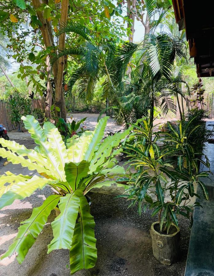 New Roy Guest House Kalkudah  Esterno foto