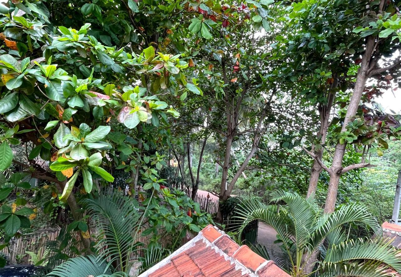 New Roy Guest House Kalkudah  Esterno foto
