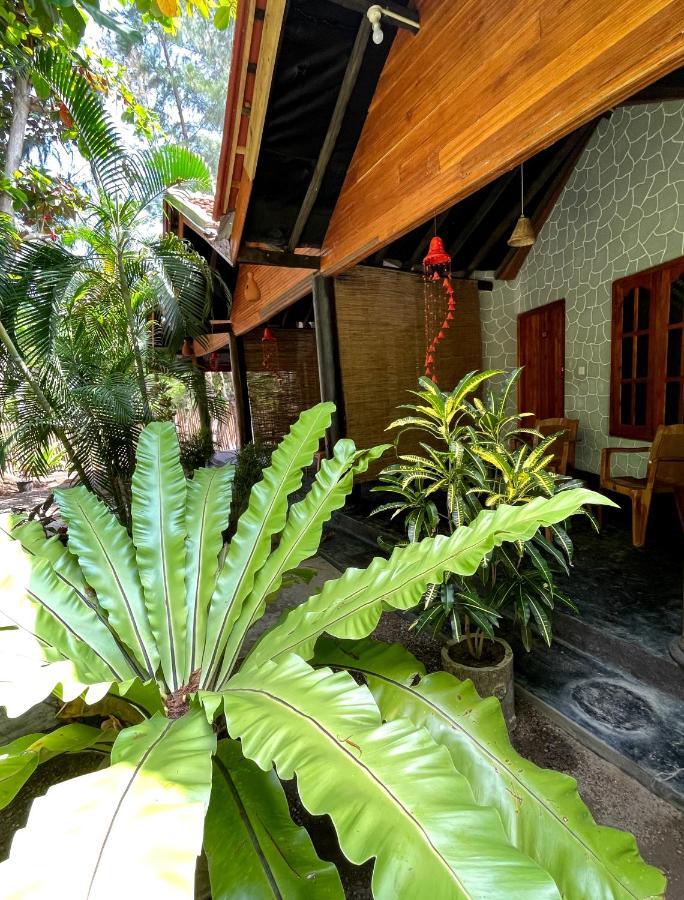 New Roy Guest House Kalkudah  Esterno foto