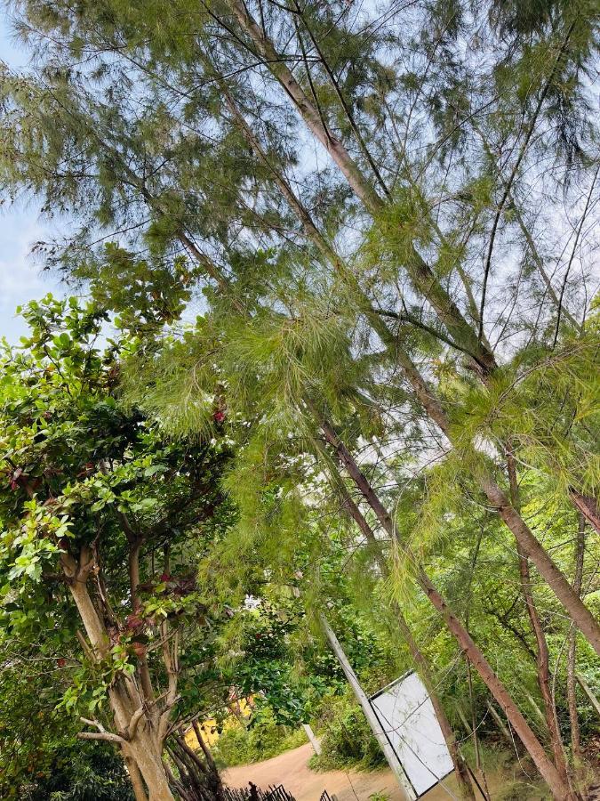 New Roy Guest House Kalkudah  Esterno foto